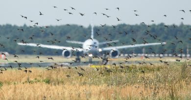 В двигатель самолета SCAT попали птицы